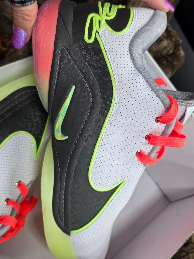 Lebron Xx11